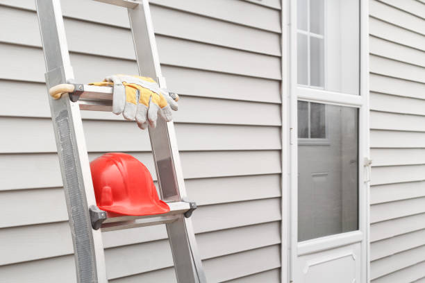 Best Siding Maintenance  in Tsaile, AZ