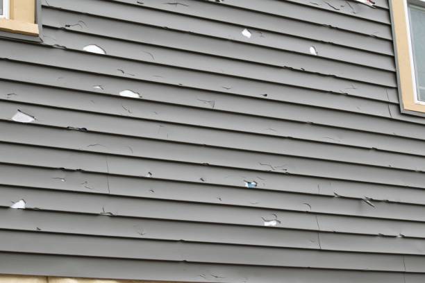 Affordable Siding Repair and Maintenance Services in Tsaile, AZ